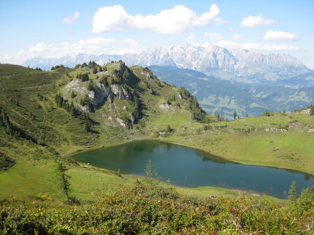 Bergparadies - Inklusive Eintritt In Die Alpentherme Dorfgastein Dış mekan fotoğraf